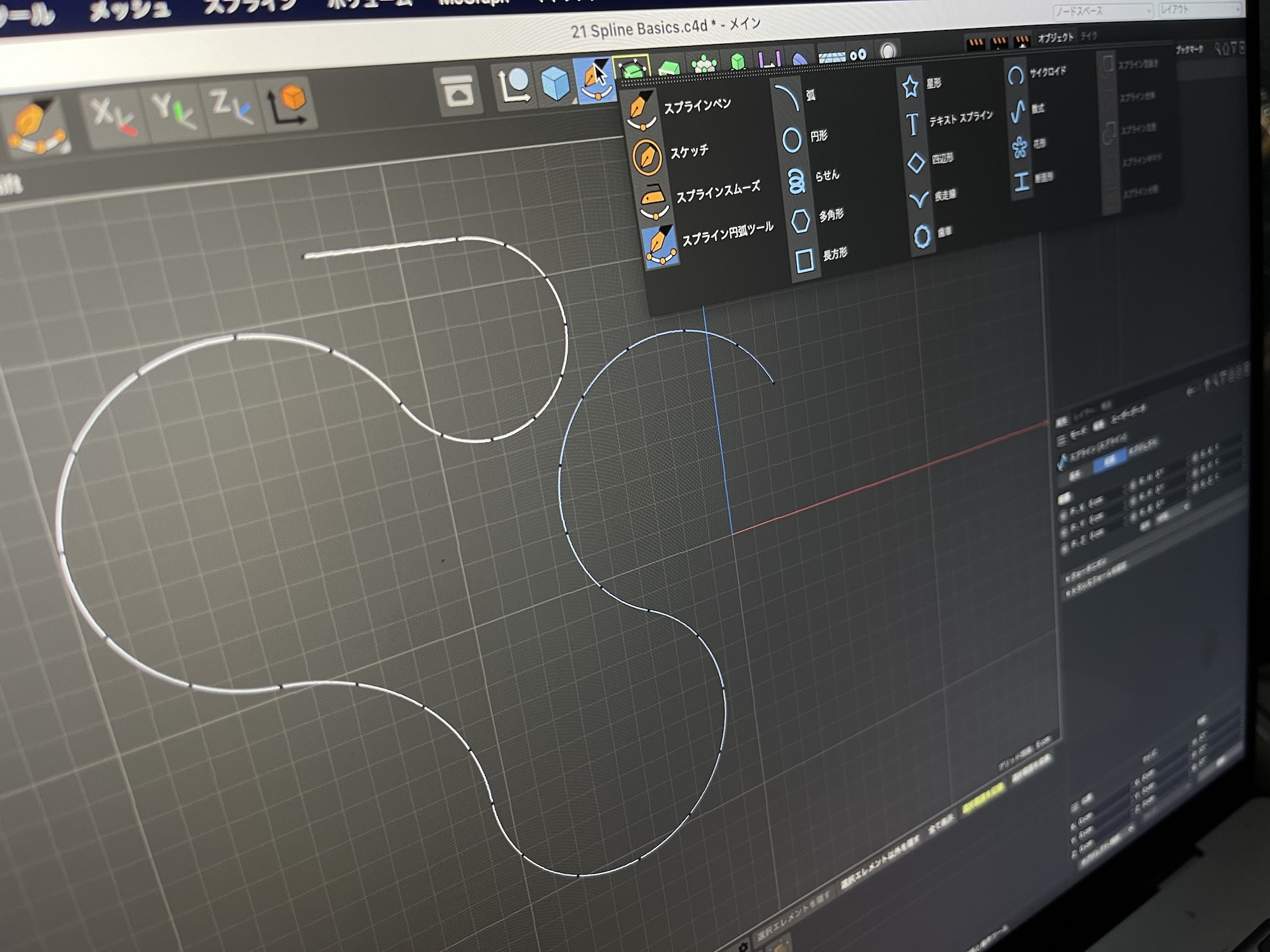 [Cinema 4D] スプラインってどのように追加するの？基本操作やポイントの調整方法を見てみよう